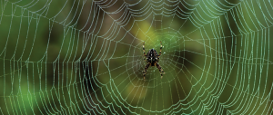 Secrets of the Mysterious & Ubiquitous Internet of Things
