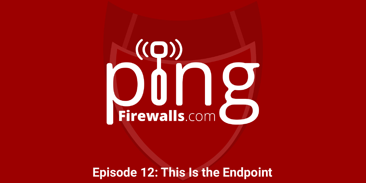 This Is the Endpoint – Ping Podcast Episode 12