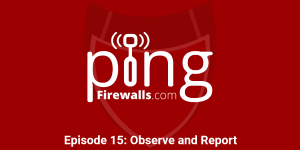 Observe and Report – Ping Podcast – Episode 15